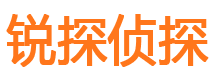 东区市侦探公司